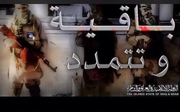 عودة موقعي صحيفة الاتحاد وتلفزيون أبوظبي للعمل بعد هجوم " داعش "