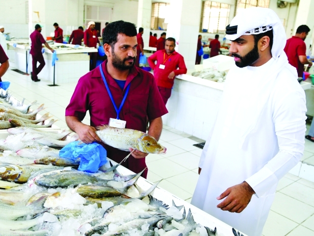 عودة «الشعري» تخفض أسعار الأسماك