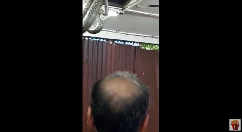 ضيف مرعب يفاجئ زبائن أحد المطاعم