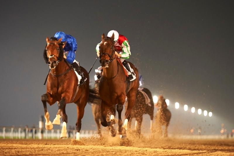 تعرف إلى الخيول الـ3 التي تمثّل الإمارات في الشوط الرئيسي لكأس دبي العالمي
