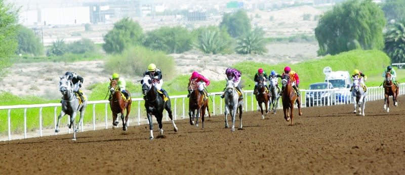 7 خيول تتنافس في الشوط الرئيس اليوم