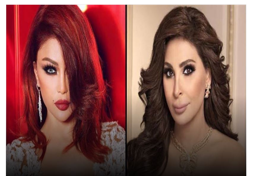 هيفاء وهبي تكشف سبب اعتزال إليسا