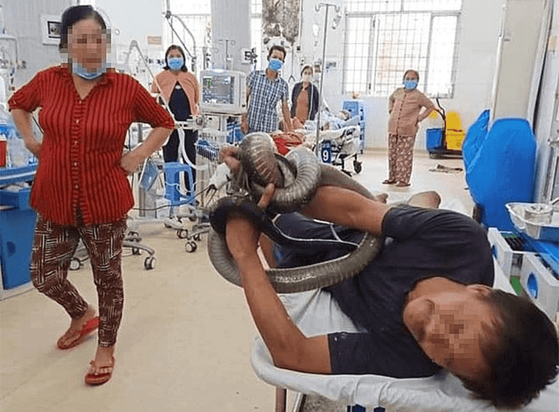 نقل فيتنامي إلى المستشفى لتخليصه من ثعبان كوبرا طوله 3 أمتار