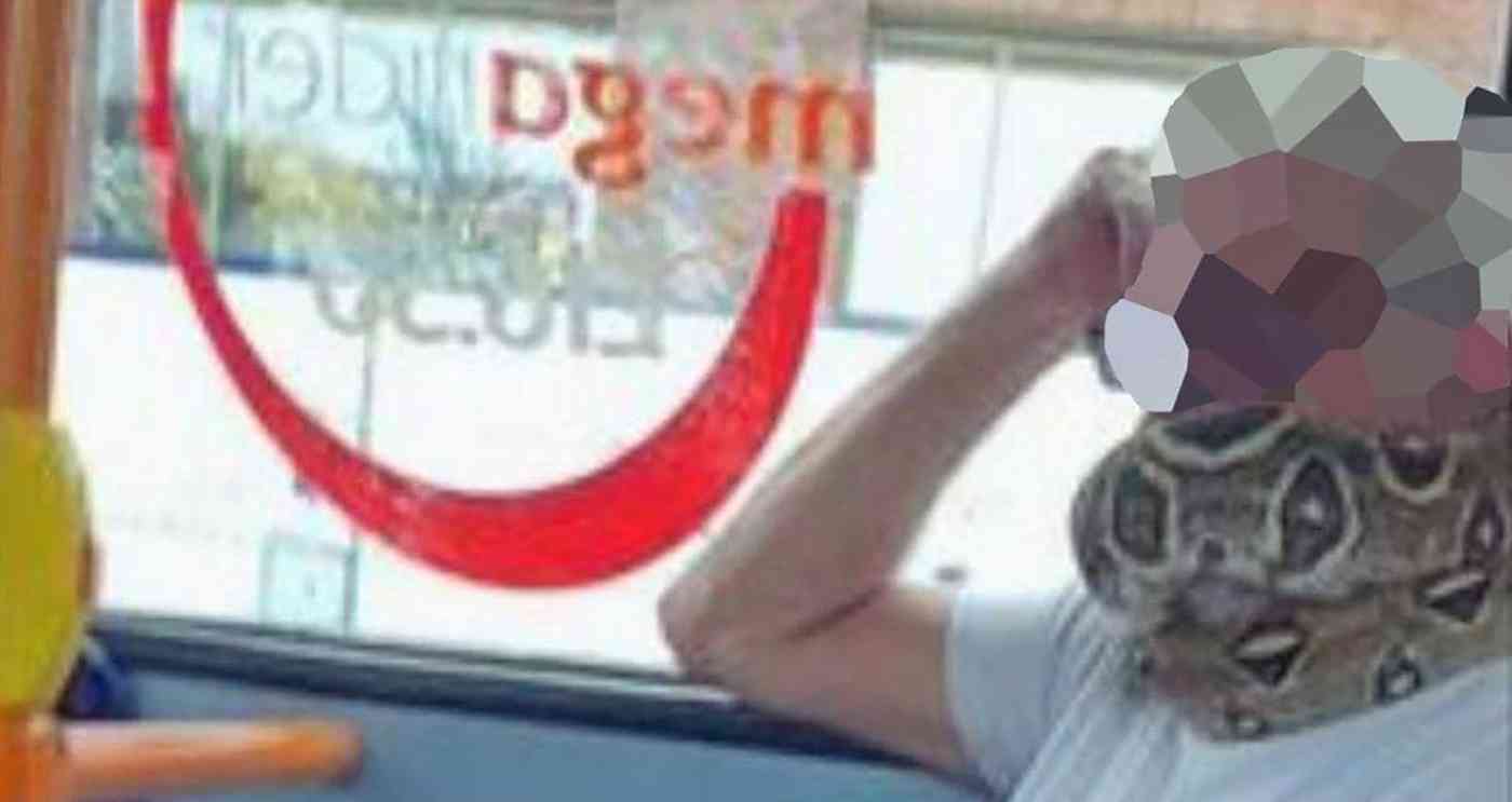 راكب يستبدل الكمامة بأفعى ويصدم الجميع