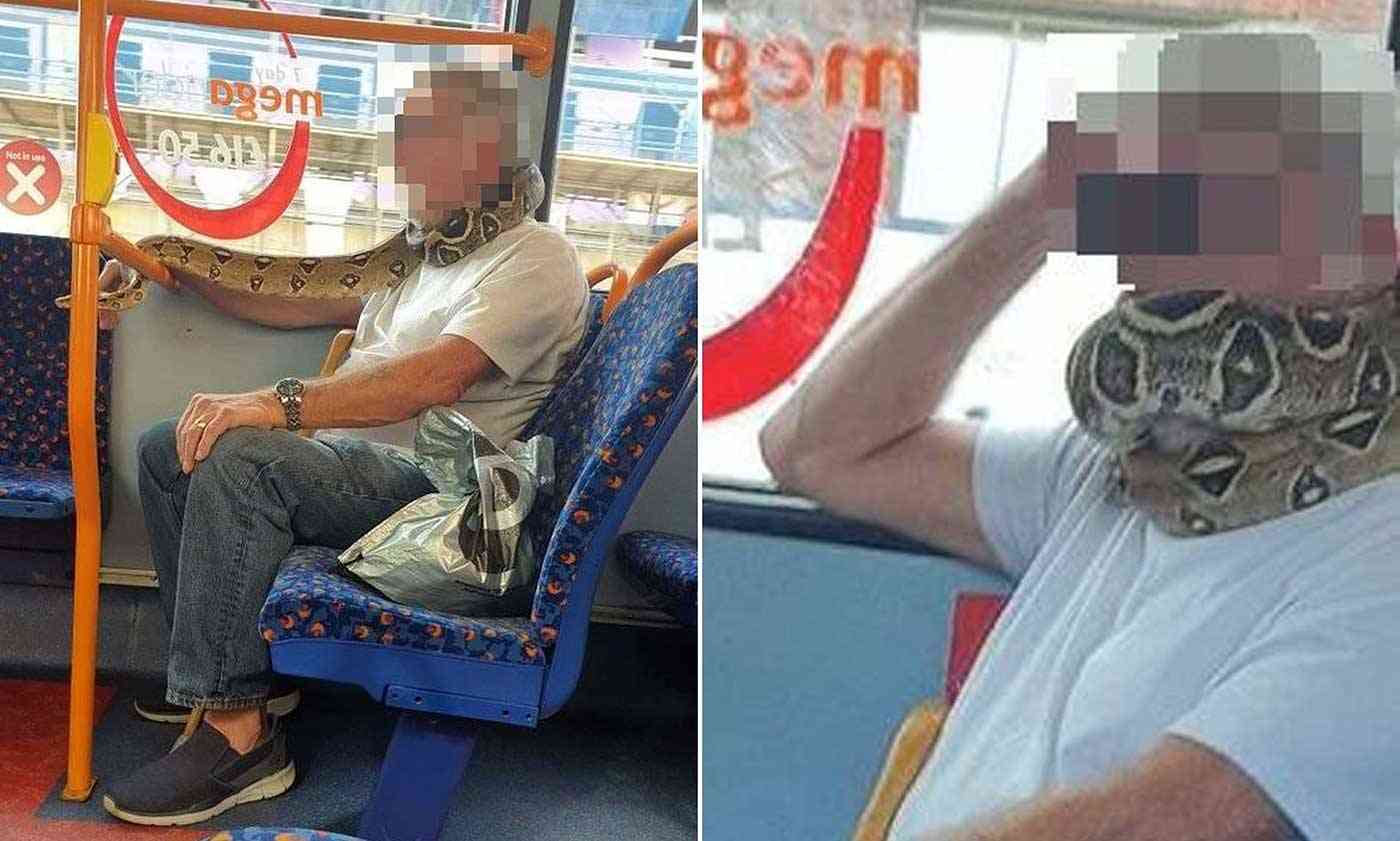 بدل أن يلبس الكمامة استبدلها بـ أفعى وصعد إلى الحافلة!  "فيديو"