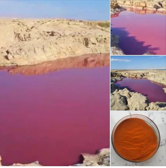 المياه الحمراء في منطقة البحر الميت.. اعرف السبب