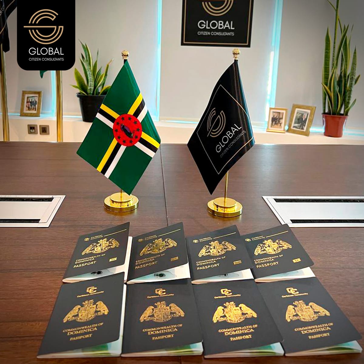 "غلوبال سيتزن كونسلتنتس" GCC تفتح آفاقاً آمنة للحصول على جنسيةٍ إضافية