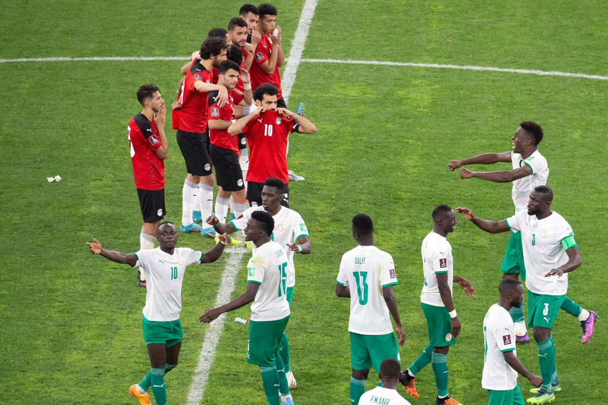 "ذبح عجلاً لفك النحس"..اتحاد الكرة المصري يلجأ لعادة قديمة لجلب الحظ