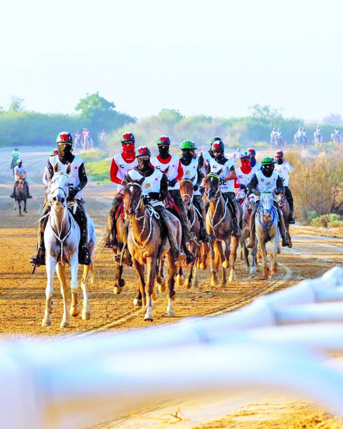 24 ساعة على انطلاق مهرجان ولي عهد دبي للقدرة