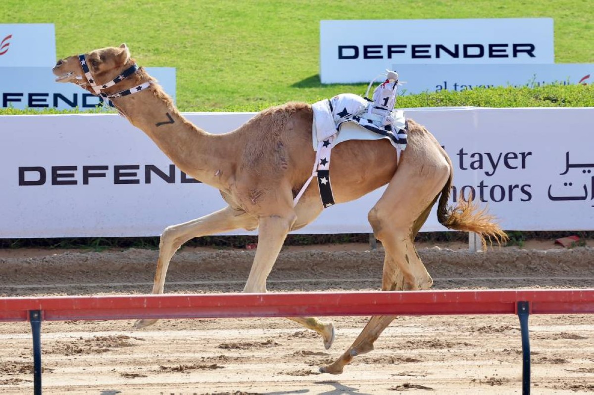 سيف ولي عهد دبي للحول المفتوح يتصدر التحديات الكبرى