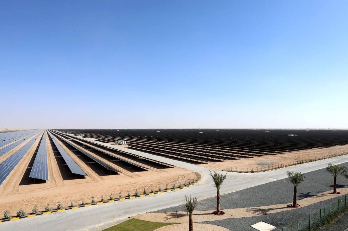 حصاد الإمارات 2025.. ريادة عالمية في الاستدامة ومواجهة التحديات المناخية