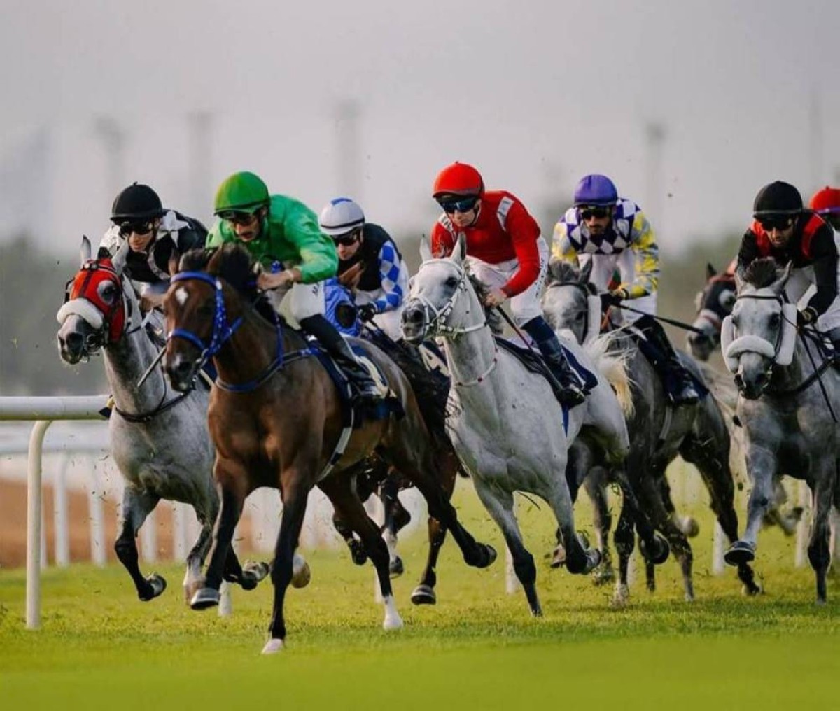 الرياضات التراثية الإماراتية.. مجد الأجداد برؤية الأحفاد