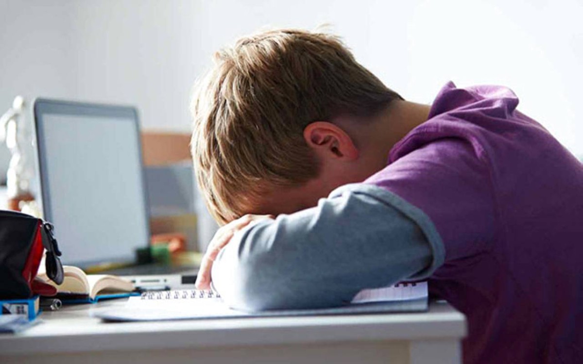 مواجهة التنمّر الإلكتروني سبيل لبيئة آمنة ومجتمع مستقر