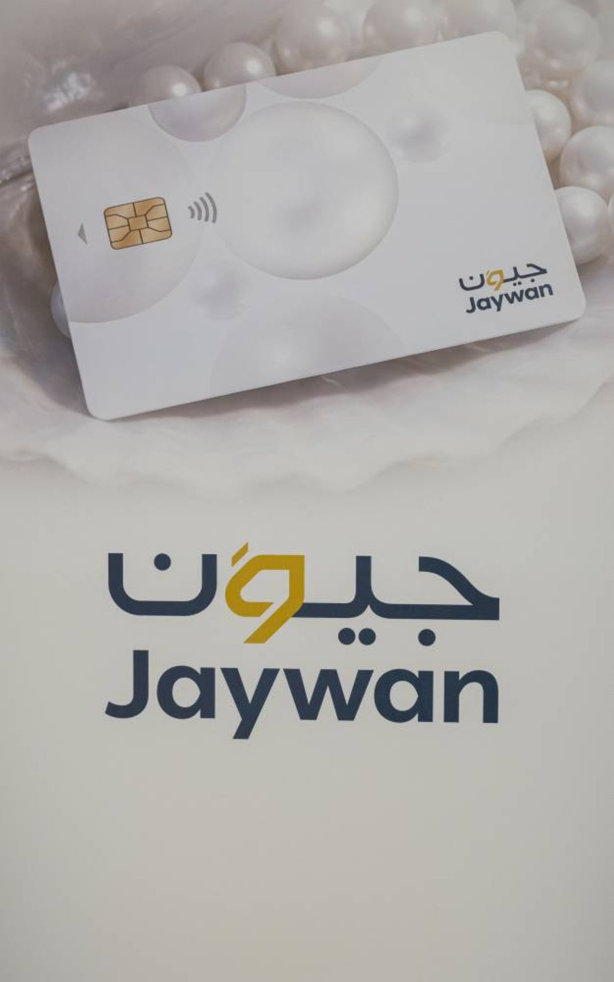 "نتورك إنترناشيونال" تطلق خدمة قبول بطاقات "جيوَن"