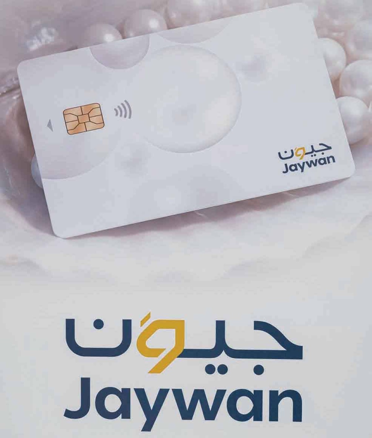 رسوم المدفوعات عبر «جيوَن» تقلّ 30% عن الشبكات العالمية