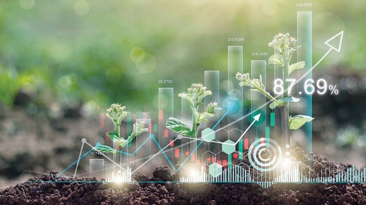 الإمارات تقود زخم التمويل المستدام في الشرق الأوسط