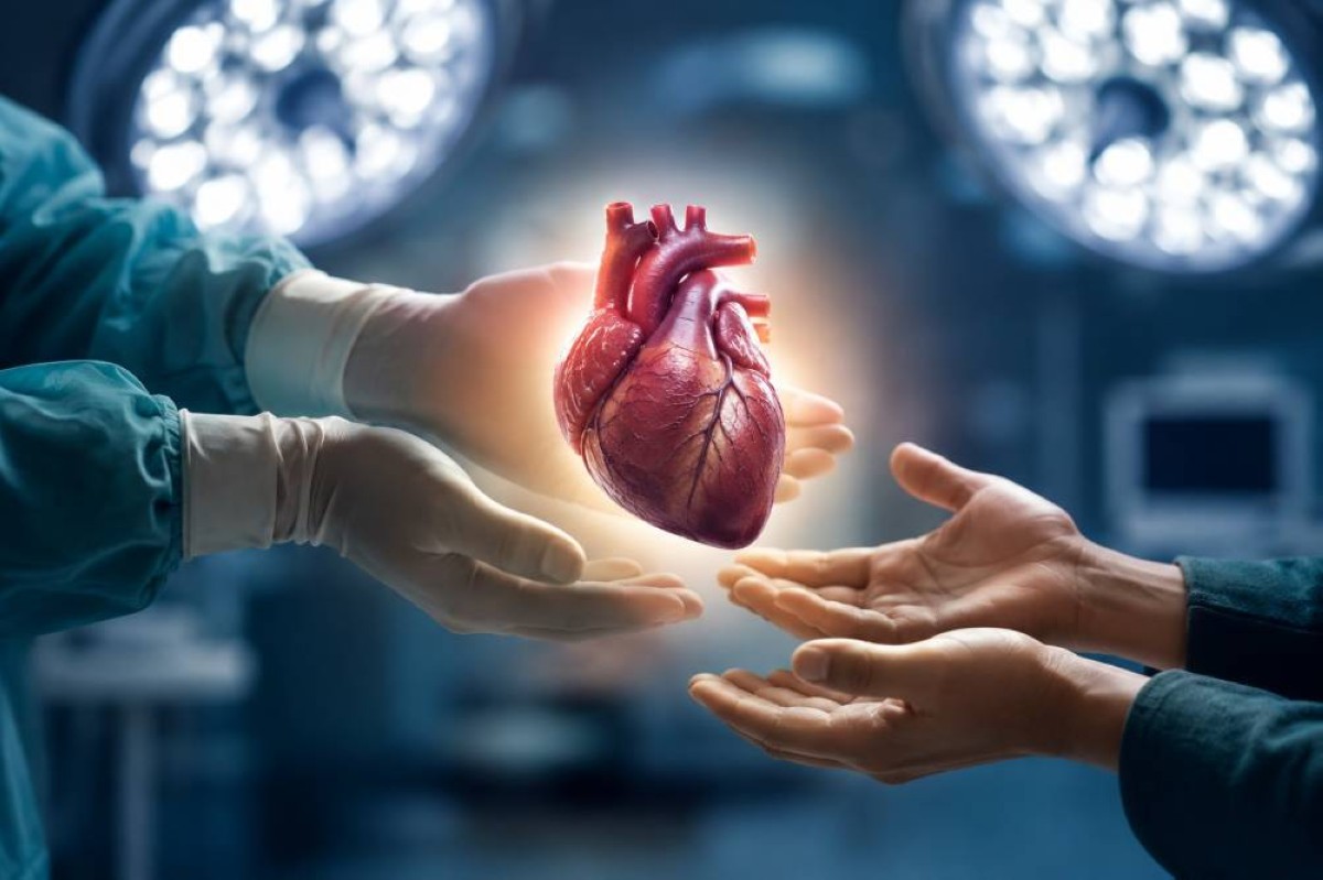 الإمارات الأولى خليجياً في نمو أعداد المتبرعين وزراعة الأعضاء
