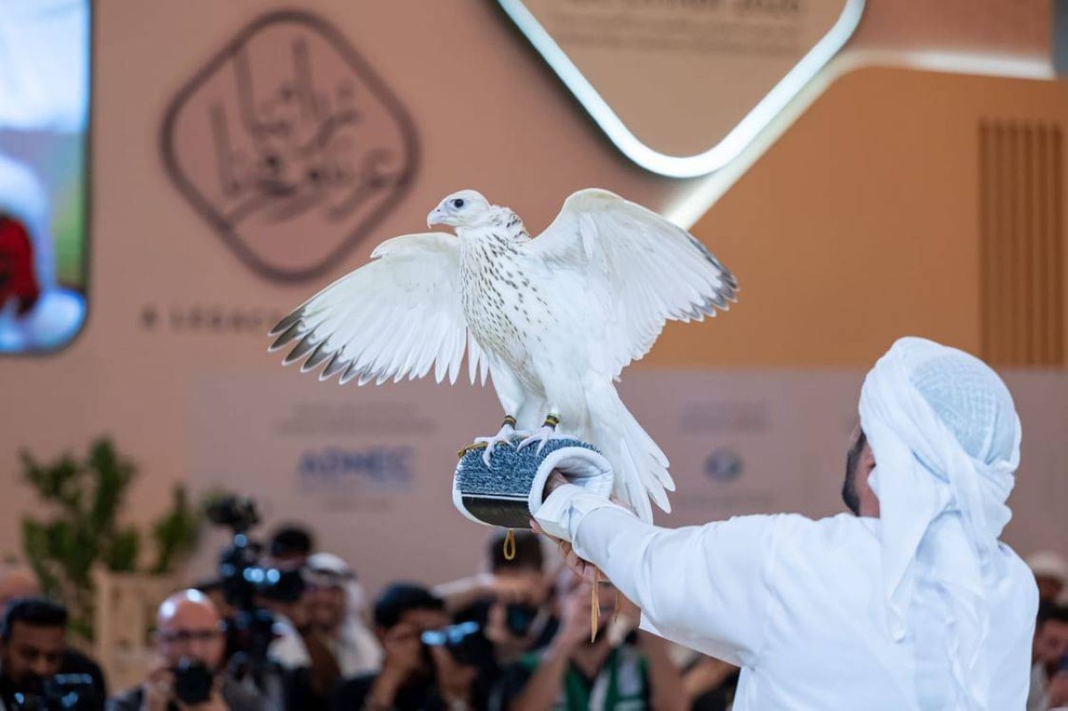 بيع صقر بـ2.1 مليون درهم مسجلاً أعلى سعر في تاريخ مزادات الصقور عالمياً