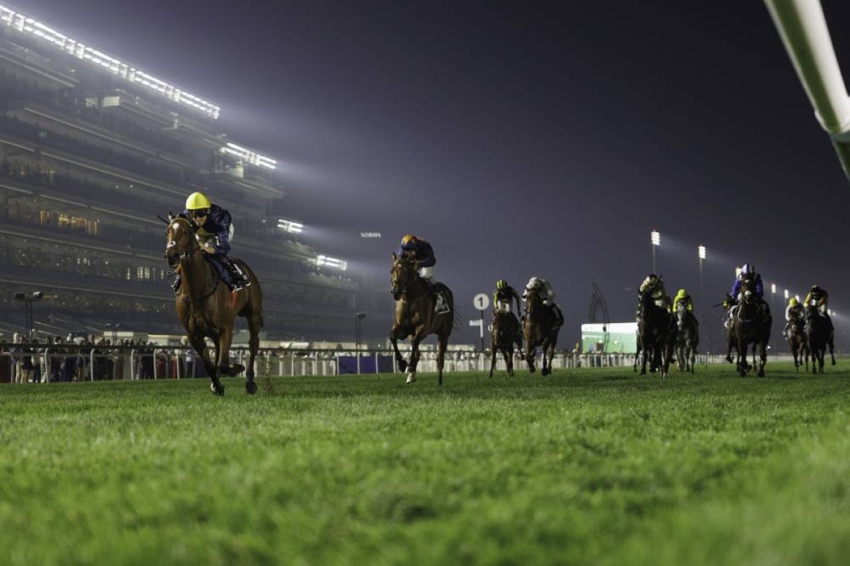 «دبي لسباق الخيل» يطرح تذاكر كرنفال سباقات دبي