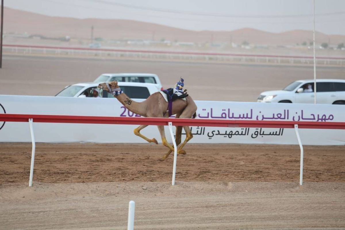 «التمهيدي الثالث» في مهرجان العين لسباقات الهجن ينطلق غداً