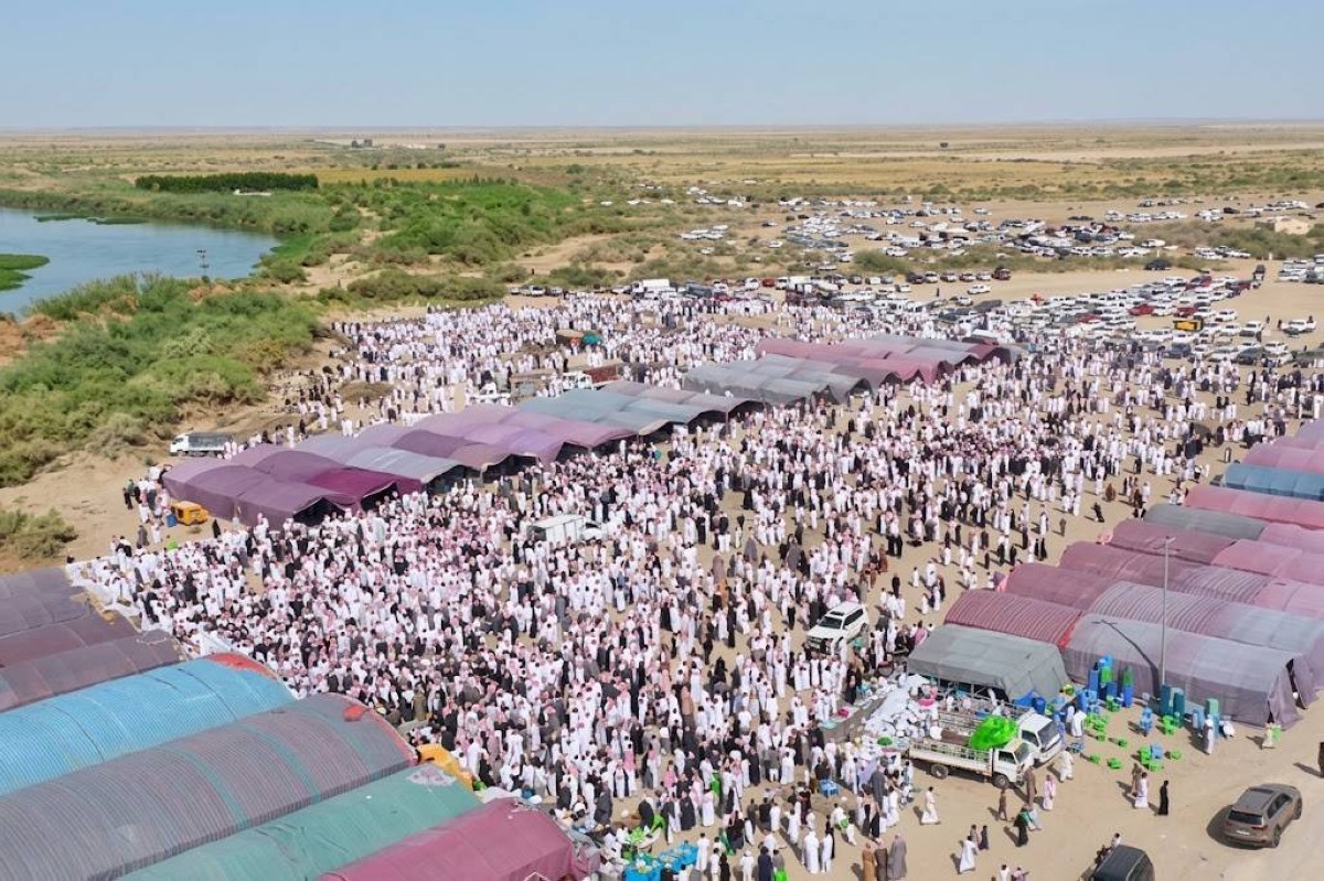 1400 خروف و200 جمل.. عرس عراقي يشعل مواقع التواصل (فيديو)