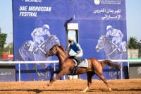 «براق» يحتفظ بلقب كأس رئيس الدولة للخيول العربية الأصيلة بالمغرب